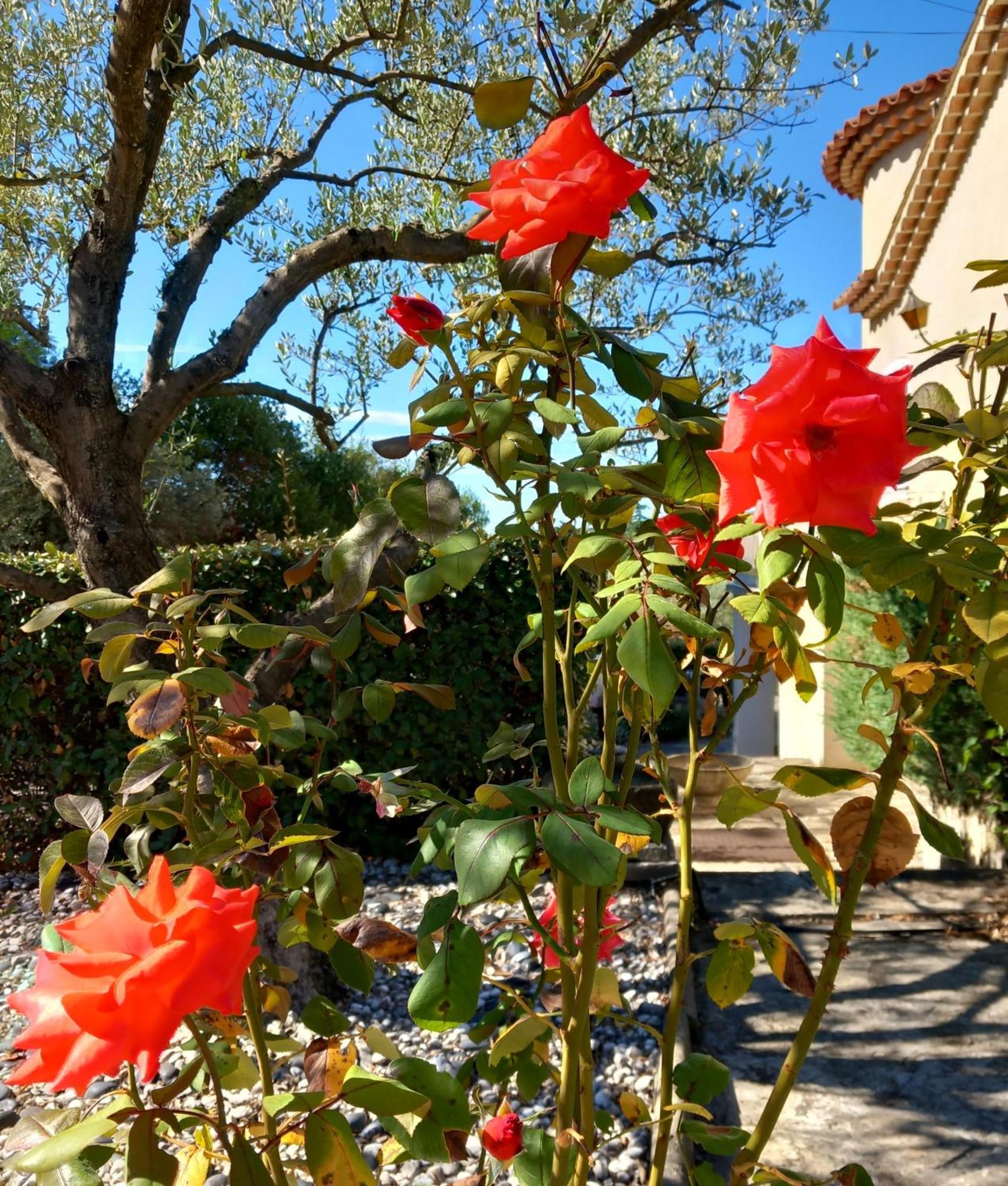 Отель Le Relais Fleuri Алес Экстерьер фото